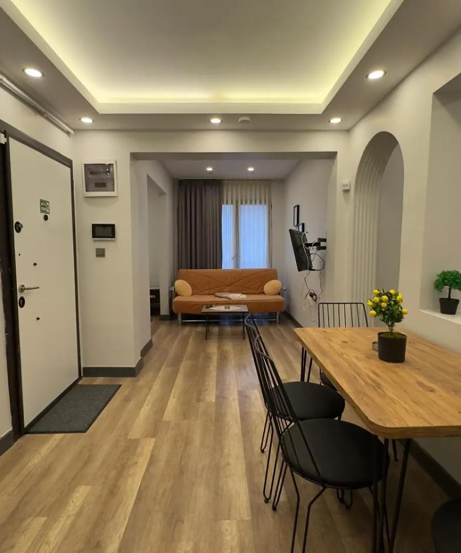公寓 Guendogdu Suites 伊斯坦布尔